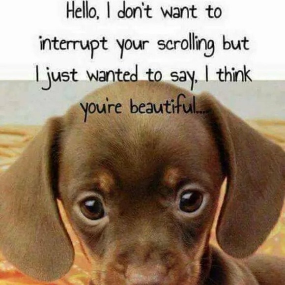 Meet your Posher, Louise - Picture 1 of 1